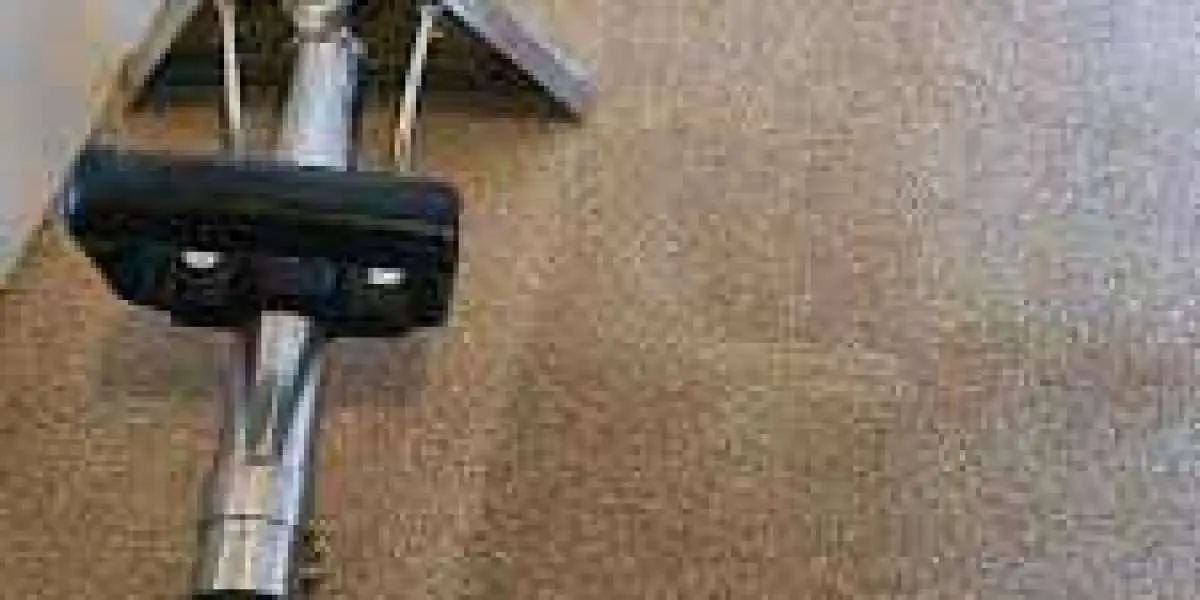 How Professional Carpet Cleaning Can Transform Your Space
