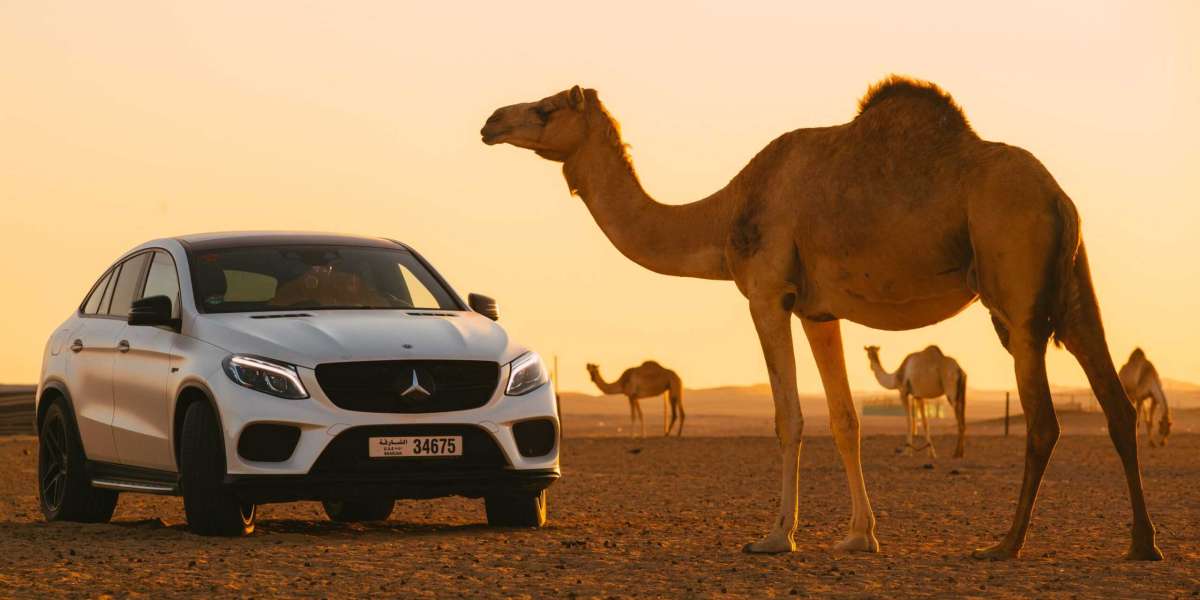 Driving in Style: Rent a car for AED 600 per month
