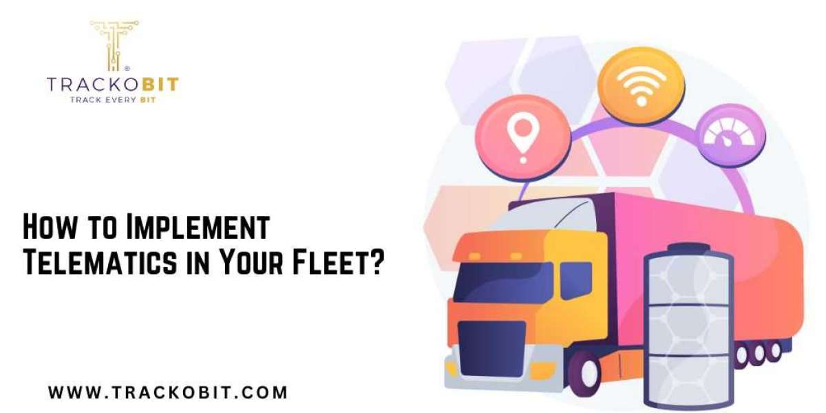 How to Implement Telematics Software in Your Fleet?
