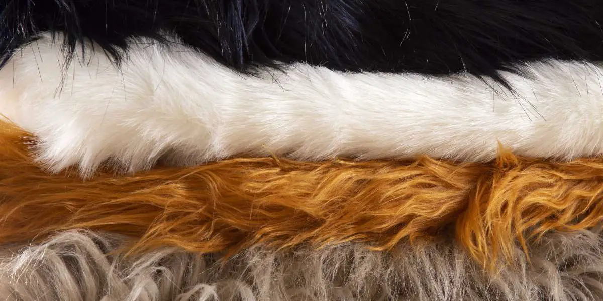 10 Facts About Sheep Skin vs Shearling
