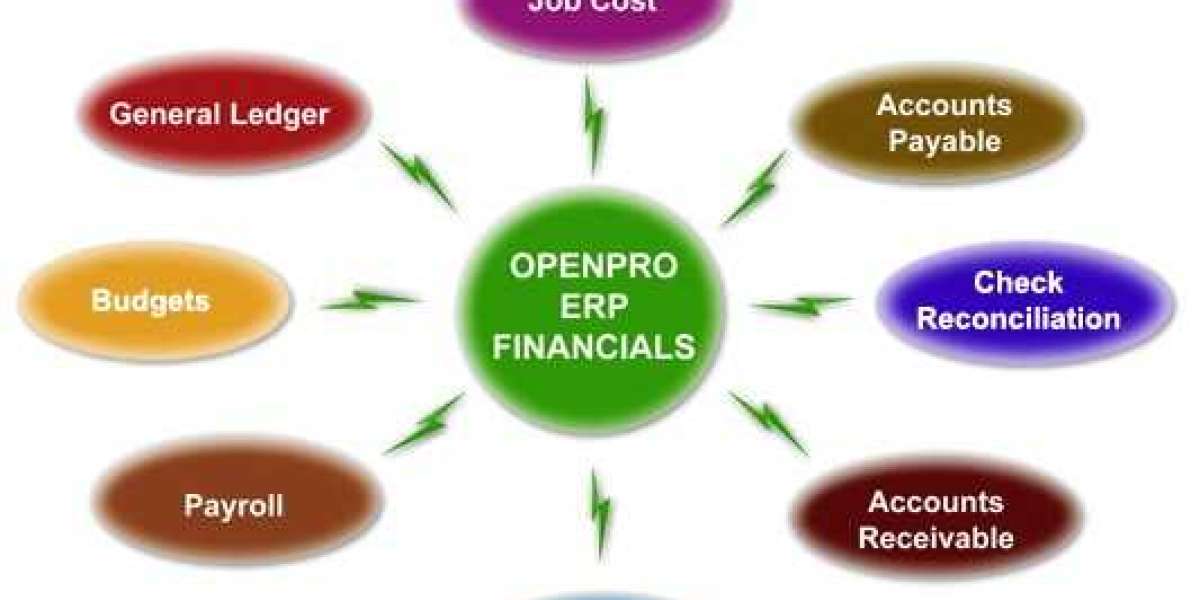 Empowering Financial Management: Understanding Financial Account Software Services