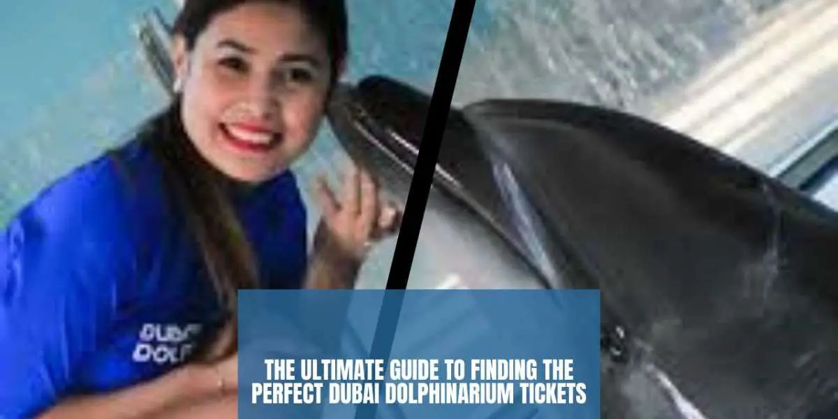 The Ultimate Guide to Finding the Perfect Dubai Dolphinarium Tickets