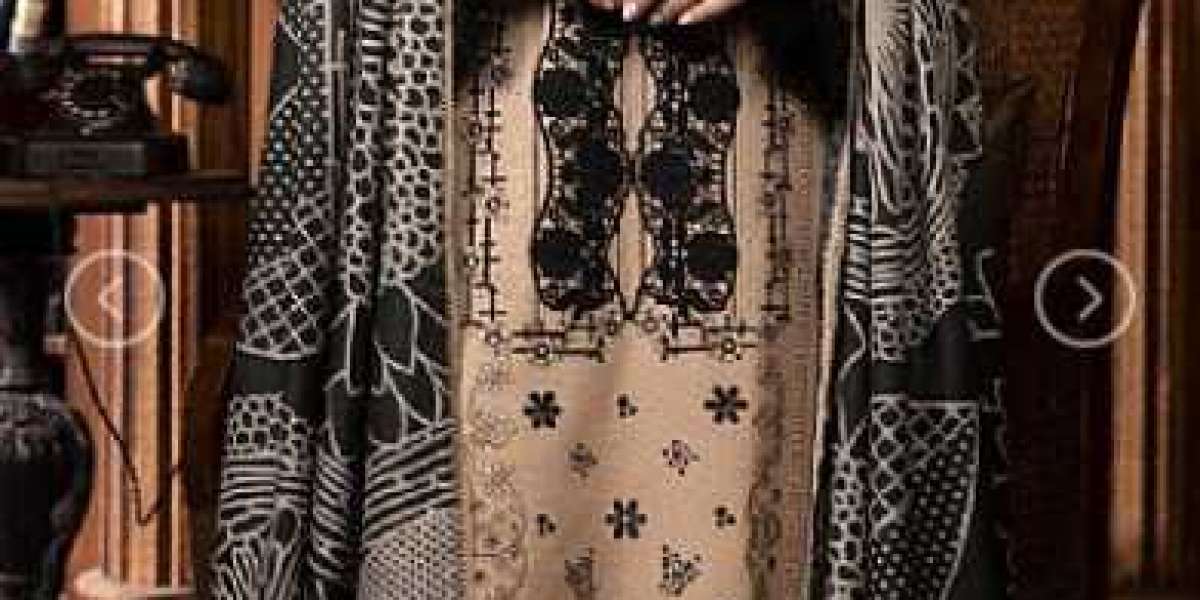 Chic And Cultural Stylish Pakistani Clothes In The USA