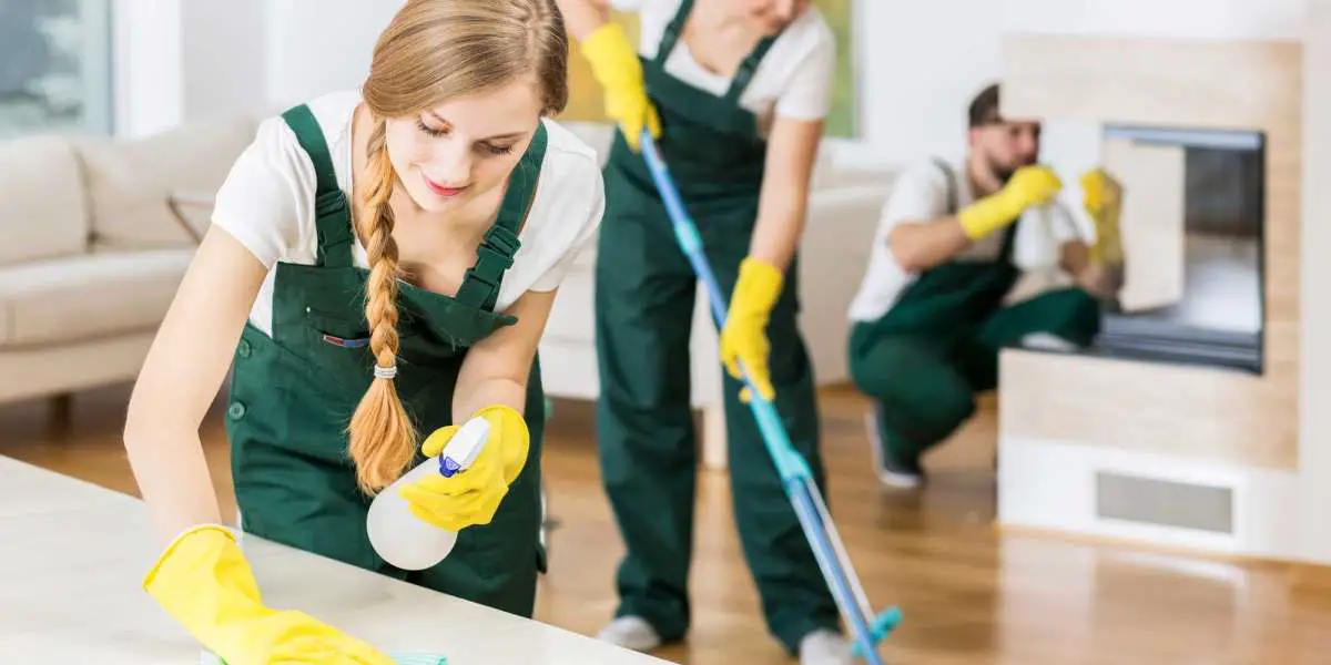 Elevate Your Living Space with Professional House Cleaning Services