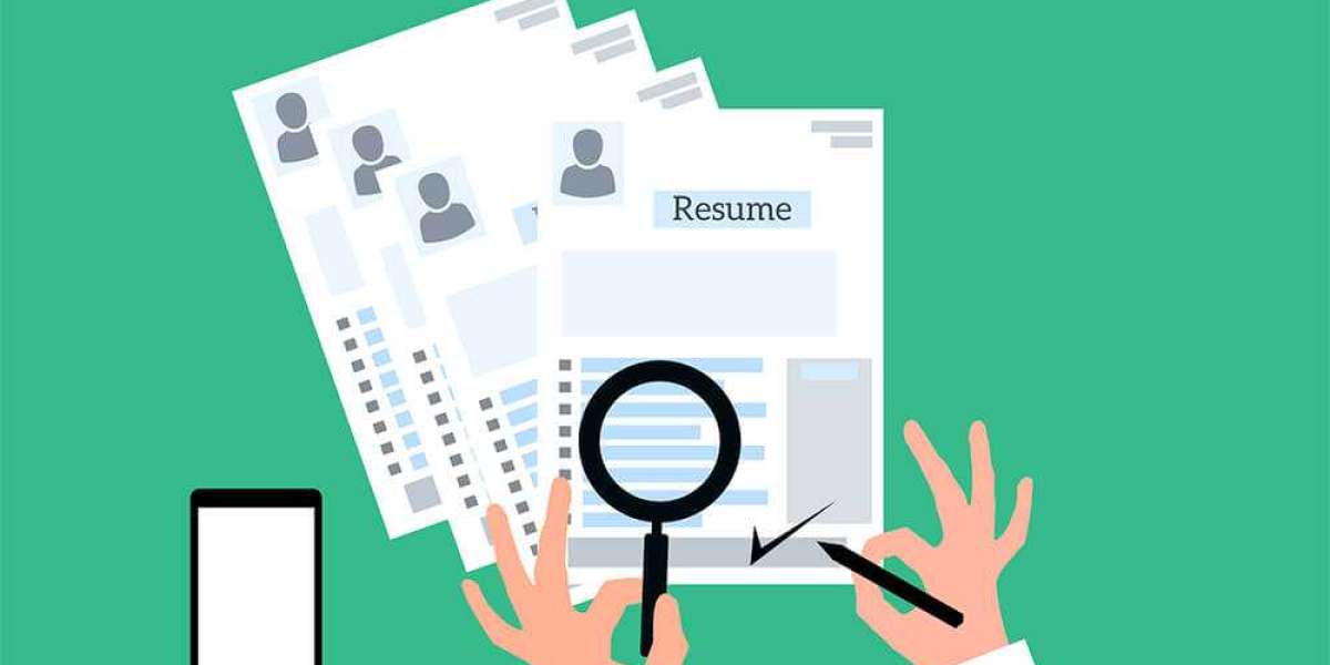 Maximising Your Potential: The Role of a Resume Coach in Wellington