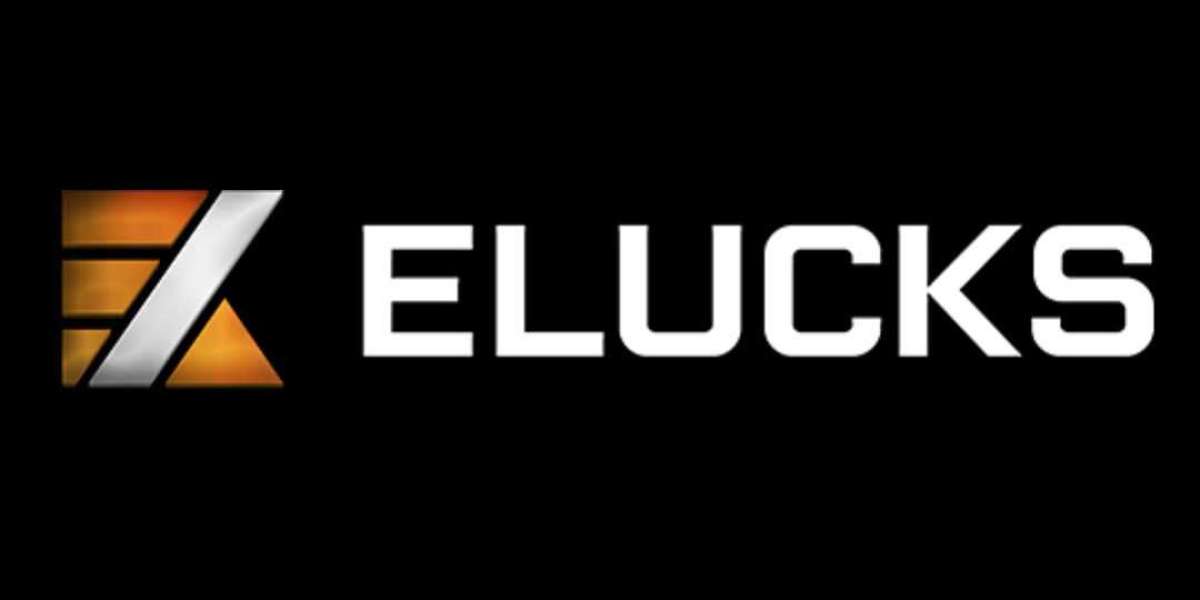 Elucks - Pioneering Digital Currency Adoption in India's Financial Ecosystem