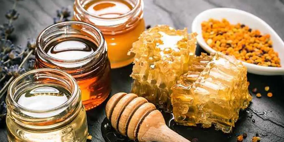 Honey: Uncovering Its Health Benefits