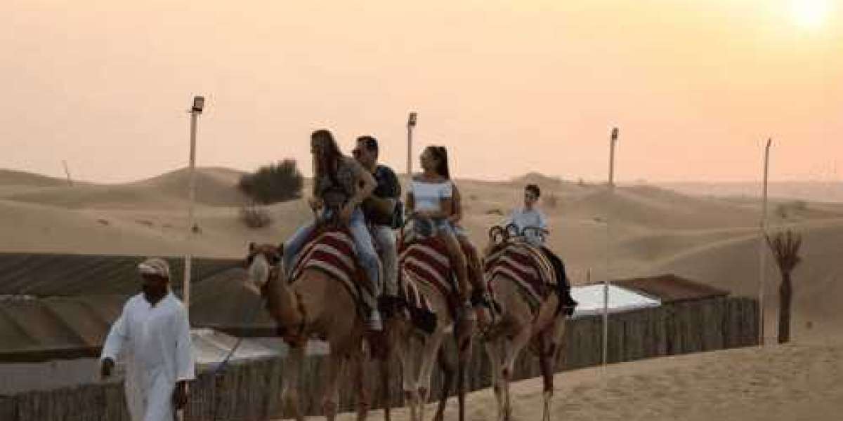 Roaming the Sands: Dubai's Best Safari Locations