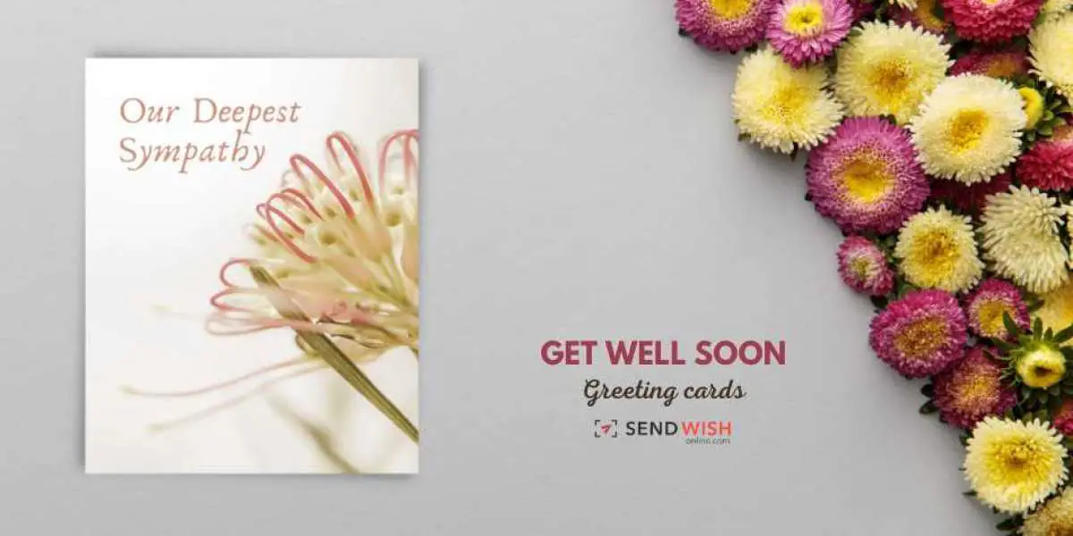 Funny Get Well Soon Cards: Spreading Laughter and Cheer