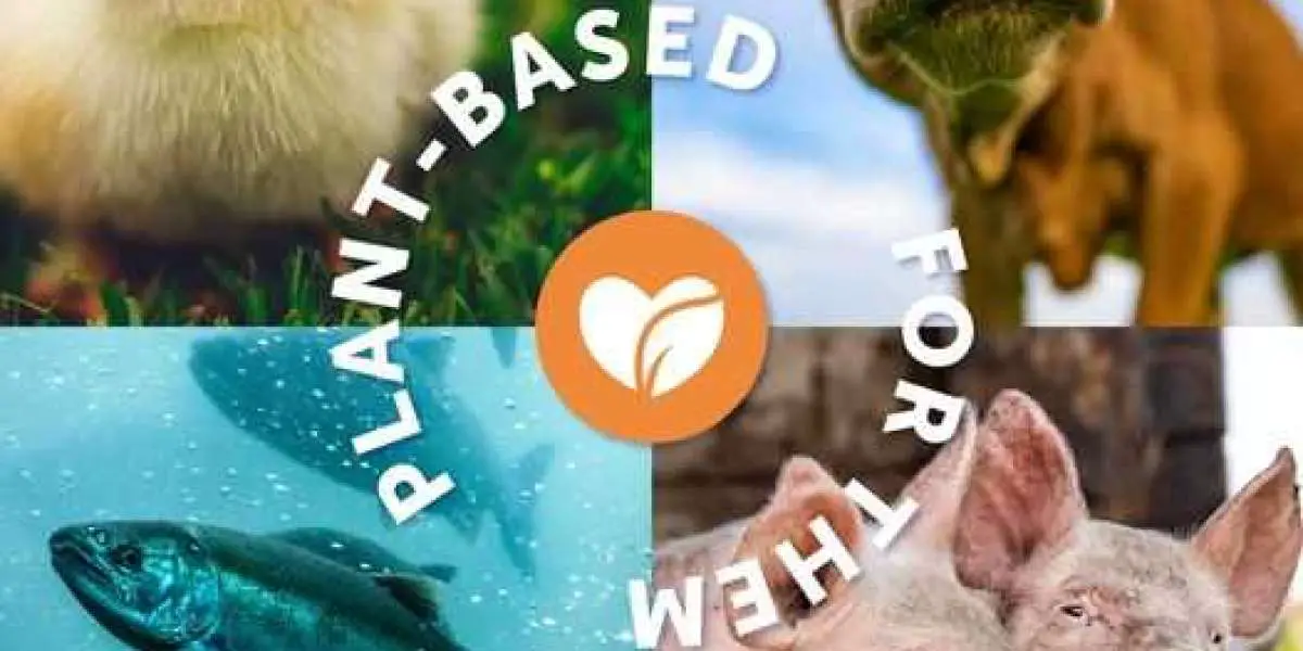 Tierschutz durch Veganismus fördern: Eine mitfühlende Entscheidung