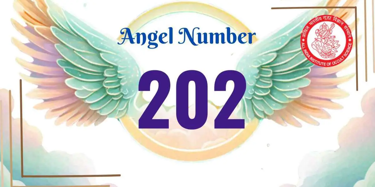Angel Number 202: A Message from Universe