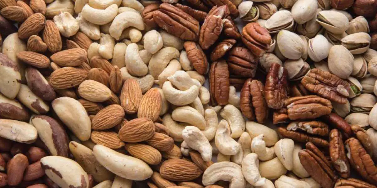 Essential Dry Fruits to Keep Your Brain Sharp