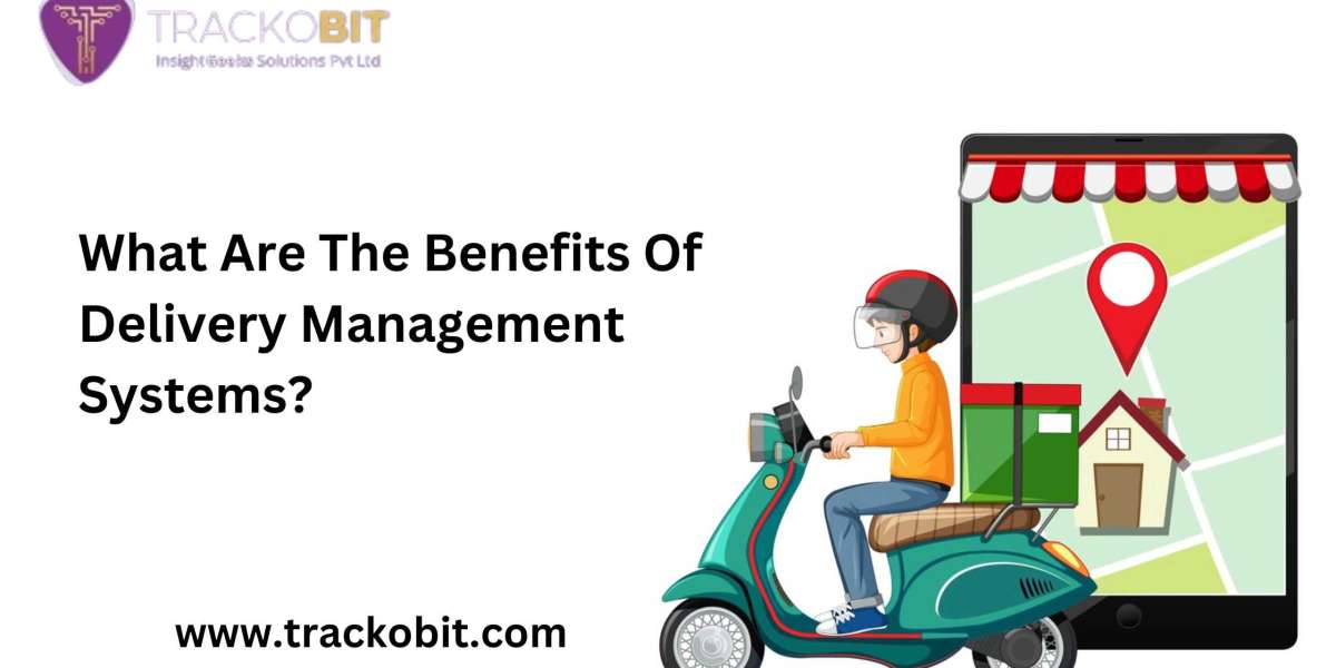 What Are The Benefits Of Delivery Management Systems?