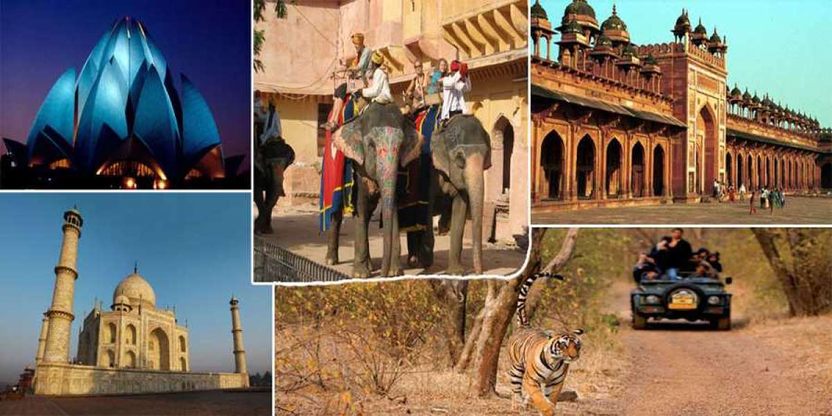 Why Golden Triangle Tour with Ranthambore is a Great Option?